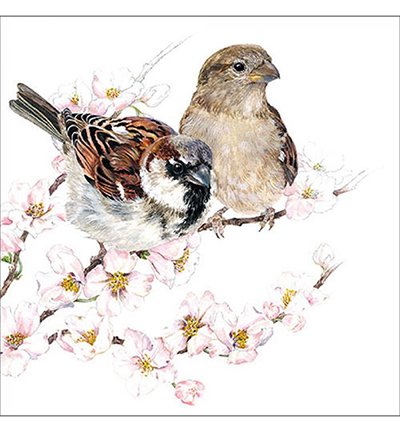 Serviette 33 x 33 cm , Sparrows Blossom